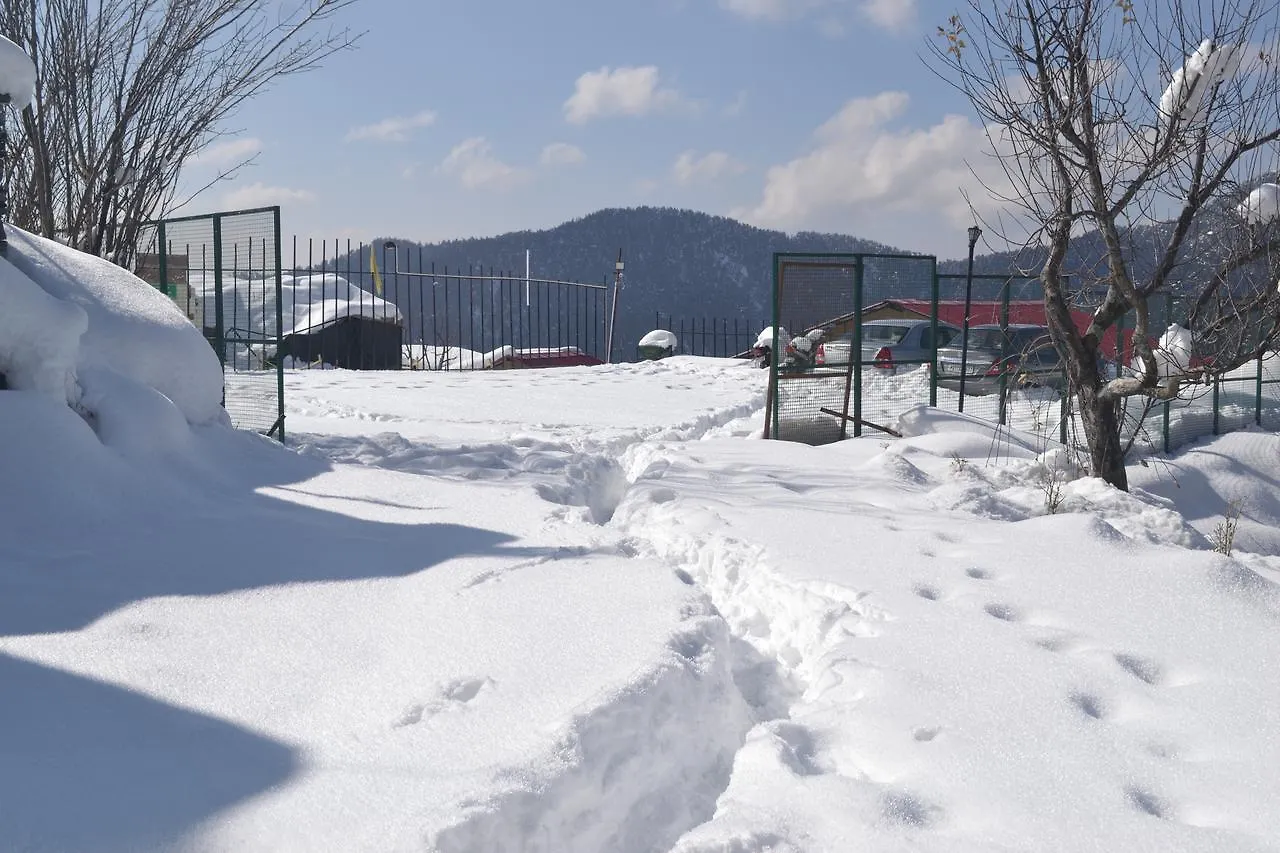 V Resorts Nature Heaven Koti Shimla India