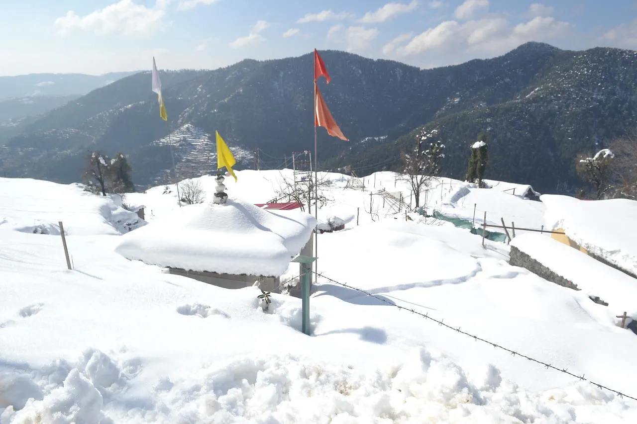 V Resorts Nature Heaven Koti Shimla